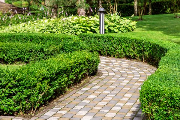 Cost of Paved Landscaping in Newport Beach