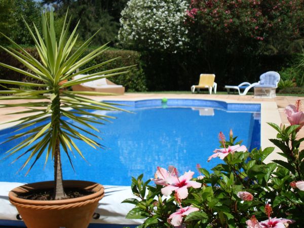 Pool Terrace Renovation in Newport Beach